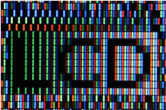 How do LCDs (liquid crystal displays) work?